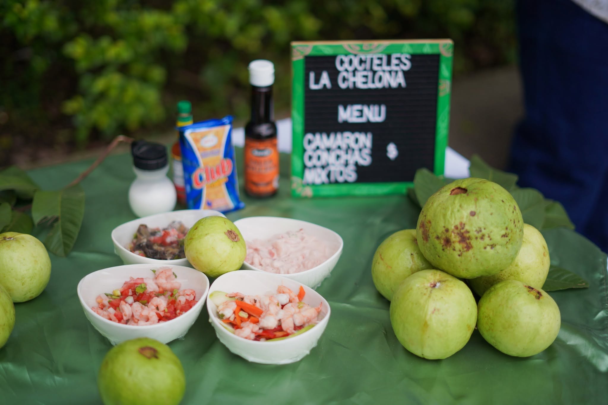 San José Guayabal